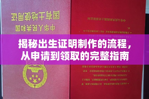 城阳揭秘出生证明制作的流程，从申请到领取的完整指南