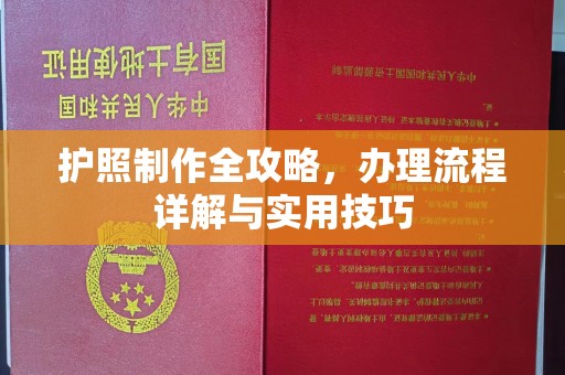城阳护照制作全攻略，办理流程详解与实用技巧